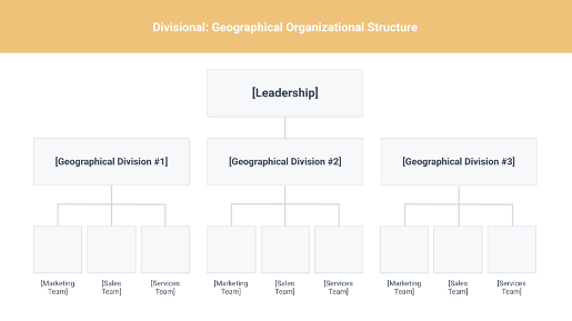 Geographical Divisional Structure